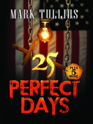 cover image of 25 Perfect Days